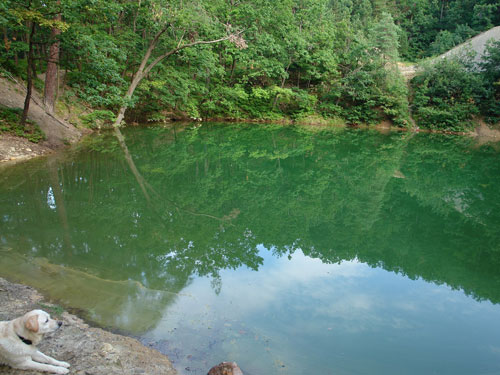 Foto oglindiri matinale (c0 Petru Goja